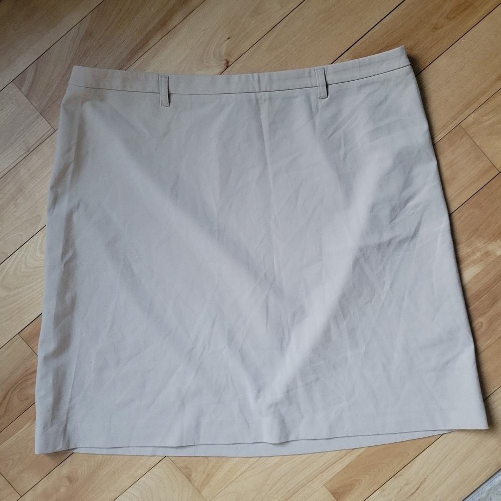 The Limited Stretch Skirt